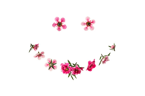 pink and white manuka tree flowers smiley face isolated on white background with copy space