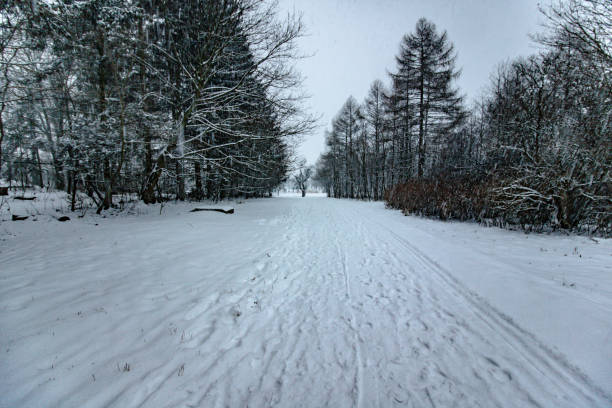 Beautiful winter landscape. Wooden bridge in a forest or park.