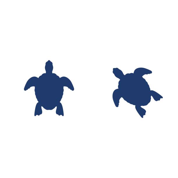Turtle animal cartoon icon Turtle animal cartoon icon vector illustration sea turtle clipart stock illustrations