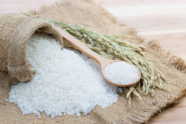 istock Rice used for sushi. Short Grain Sushi Koshihikari Rice. High resolution. 1284834971