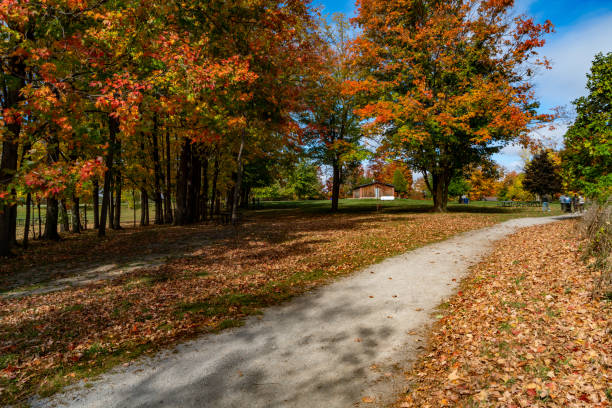 istock Bronte Creek Provincial Park in Autumn, Oakville, Canada 1284837405