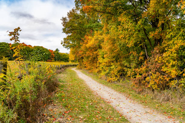 istock Bronte Creek Provincial Park in Autumn, Oakville, Canada 1284838265