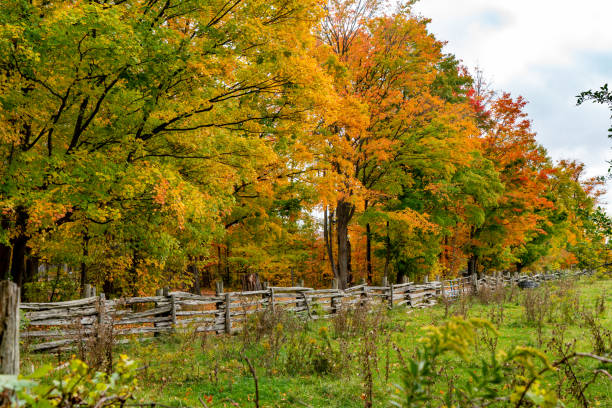 istock Bronte Creek Provincial Park in Autumn, Oakville, Canada 1284838335