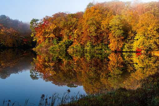 Jones Mill Pond Reflects the fall colors along the Colonial Parkway near Yorktown, Virginia.