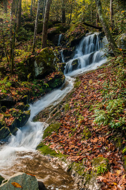 istock The Trickle Waterfall in Tremont 1284839012