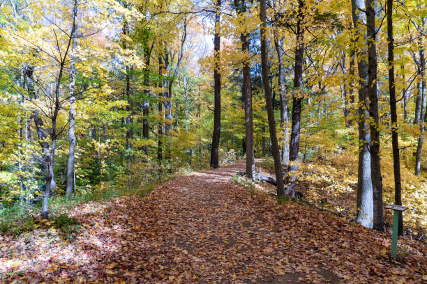 istock Autumn forest pathway at Kortright Centre Conservation, Woodbridge, Vaughan, Canada 1284840147