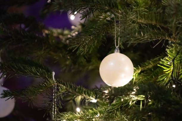 biała bombka na gałęzi choinki z bliska. kulki wiszące na gałęziach sosny. tło świąteczne. - christmas christmas ornament green lime green zdjęcia i obrazy z banku zdjęć