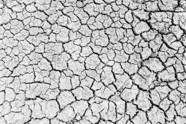 vue supérieure du sol fissuré en été avec le soleil. noir et blanc les fissures du sol séché en saison aride à la thaïlande rurale. - global warming cracked dirt earth photos et images de collection