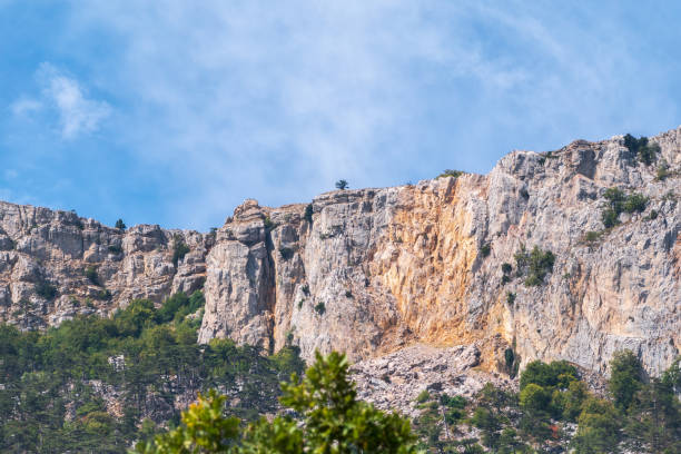 istock High rocky mountains on blue sky background. Green pine forest on the mountainside. 1284846136