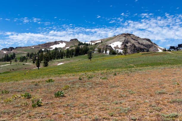 squaw valley summer - squaw peak stock-fotos und bilder