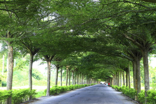beauty of Pingtung Taiwan