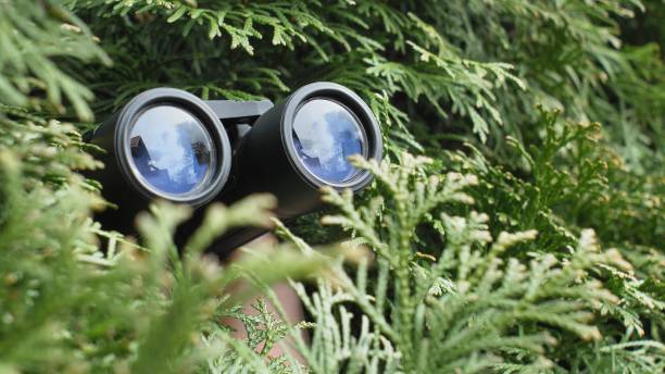 person hidden in bush peeping with binoculars and spying others - espião imagens e fotografias de stock