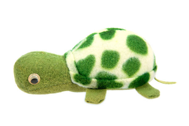 istock Turtle doll isolated on white background. Green turtle toy isolated 1284855017