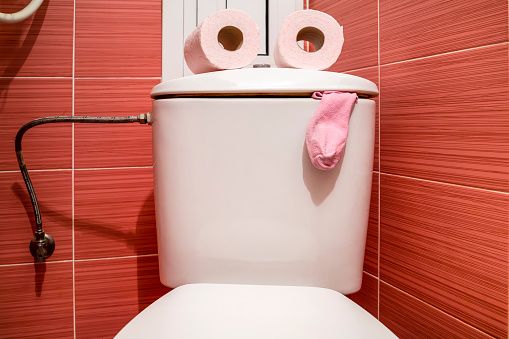 Shot of a funny toilet seat with two paper tissue rolls and sock