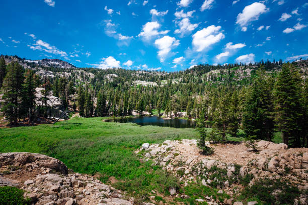 squaw dolina shirley jezioro lato - squaw lake zdjęcia i obrazy z banku zdjęć