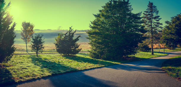 kreuzverarbeitete panorama-grünwiese-landschaft mit sonnenstrahlen, schatten und bäumen in foggy herbst morgen - autumn november massachusetts sun stock-fotos und bilder