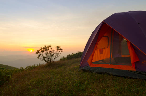 istock Tourist tent in forest camp among meadow 1284859844