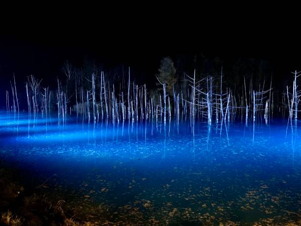istock Biei Town Blue Pond Illuminated 1284860861