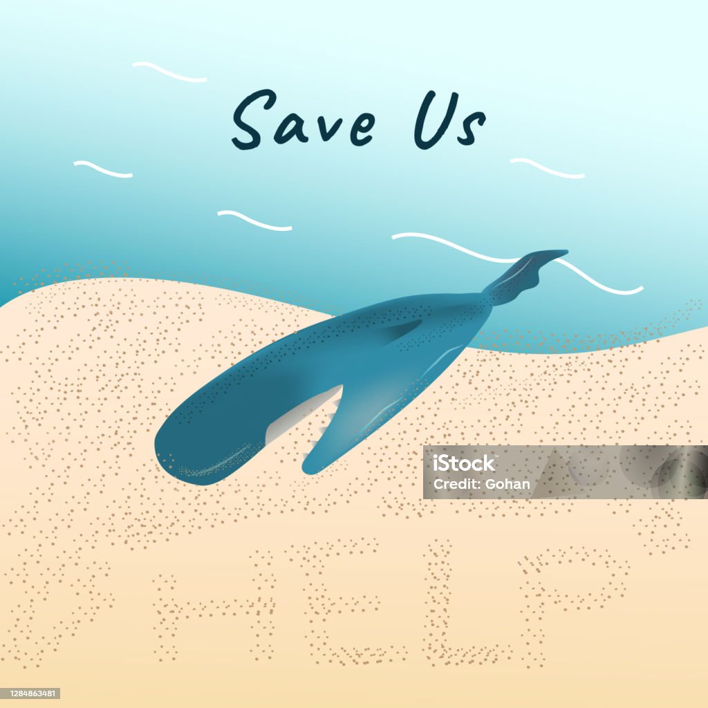 A Dead Stranded Whale On Sand Beach Vector For Climate Change And Global  Warming Campaign Stock Illustration - Download Image Now - iStock