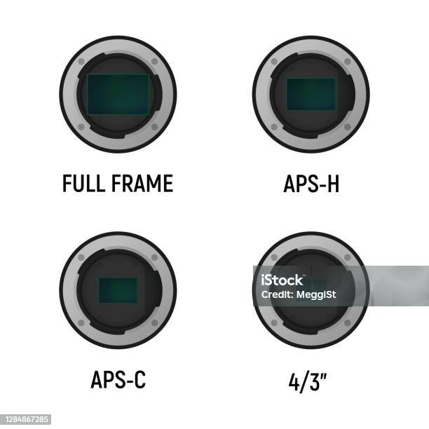 Length Pattern Sensor Photo Size Of Image Sensor Stock Illustration - Download Image Now - Black ...