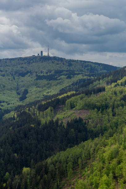 istock Spring Walk on a sunny day around the Inselsberg - Thuringia/Germany 1284871244