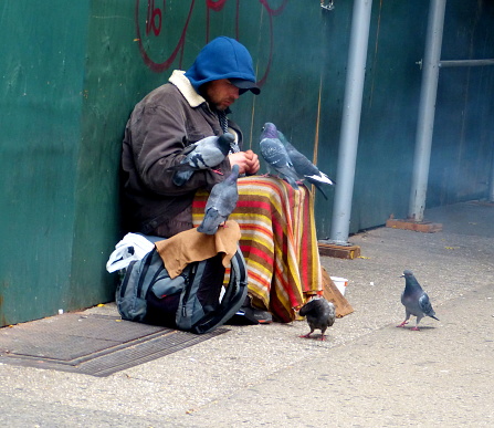 New York, USA-18 november 2015: Homeless man feeds birds, editorial.