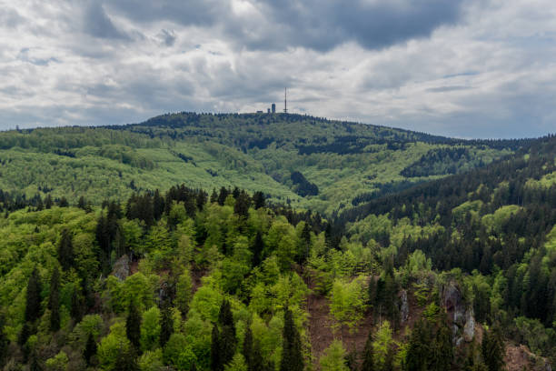 istock Spring Walk on a sunny day around the Inselsberg - Thuringia/Germany 1284874271