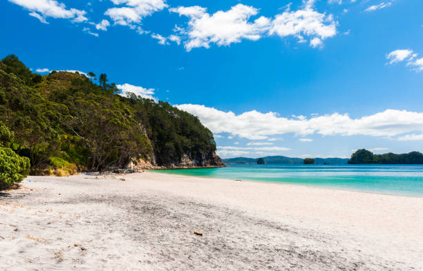 praia de hahei na península de coromandel na nova zelândia - new zealand cathedral cove sea sand - fotografias e filmes do acervo