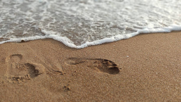 istock footprints on the sand by the sea 1284875973