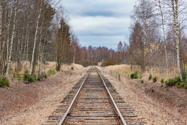 istock Single railway line in the autumn forest. 1284878264