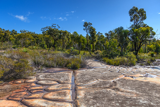 Tessellated Rock Pavement in the Bouddi National Park between Patonga and Pearl Beach on the Central Coast of NSW, Australia.