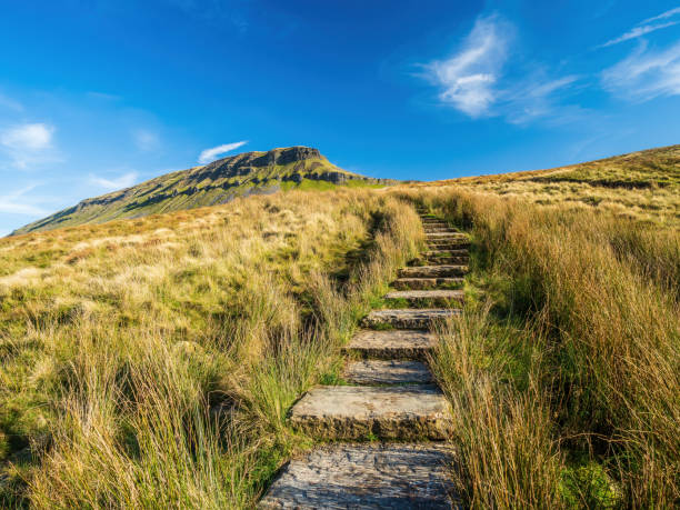 Pen-y-ghent mountain in the Yorkshire Dales Steep paths and gates lead up to Pen-y-ghent mountain in the Yorkshire Dales. England ingleborough stock pictures, royalty-free photos & images