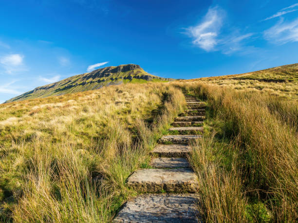 pen-y-ghent mountain in the yorkshire dales - pennine way imagens e fotografias de stock