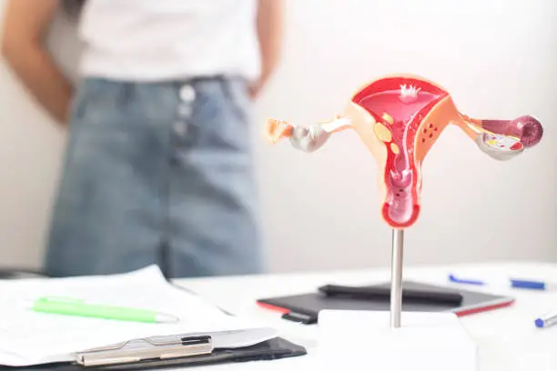 A model of the female reproductive system in the background is a girl in a doctor s office with irregular periods. The concept of problems for women with a period of menstruation, hypomenorrhea