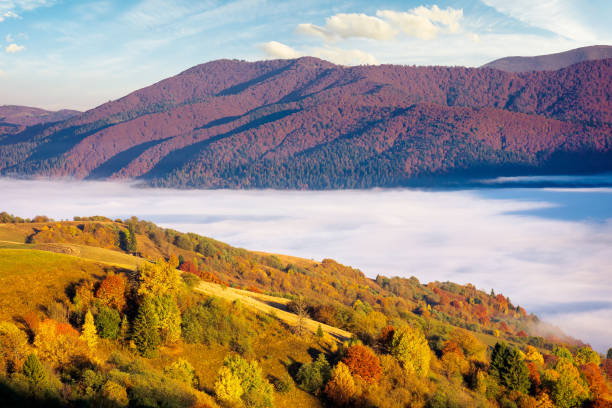 istock rural landscape in autumn season 1284887129