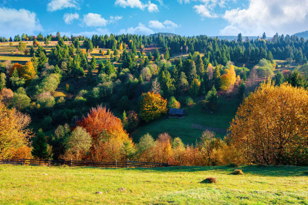 istock autumnal rural landscape in mountains 1284887243