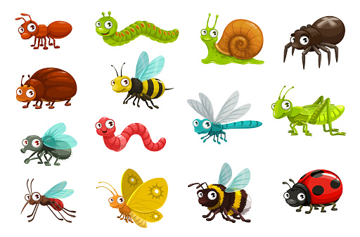 Cute bugs and insects cartoon characters. Happy smiling ant, caterpillar and snail, spider, beetle and bee, fly, earthworm and dragonfly, grasshopper, mosquito and butterfly, bumblebee, ladybug vector