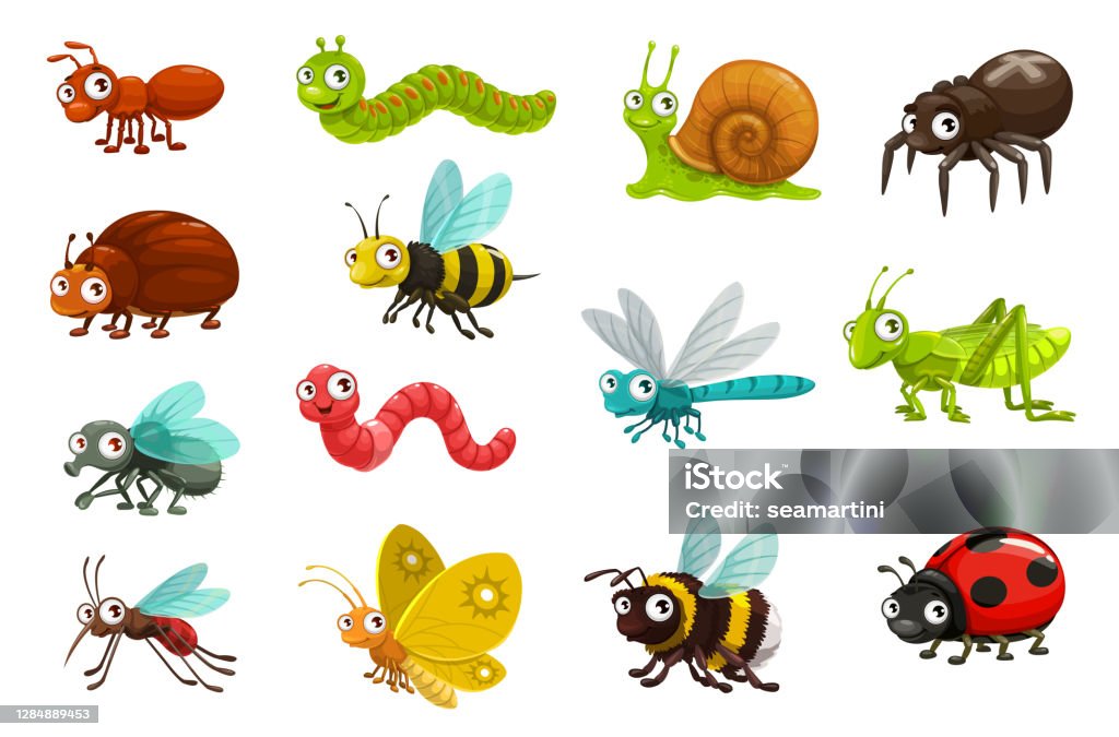 Cute Bugs And Insects Cartoon Vector Characters Stock Illustration -  Download Image Now - Insect, Cartoon, Vector - iStock