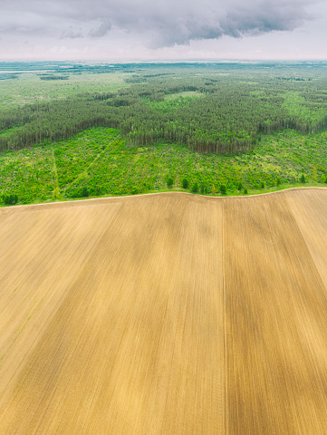 Aerial View Of Field And Deforestation Area Zone Landscape. Top View Of Field And Green Pine Forest Landscape. Large-scale Industrial Deforestation To Expand Agricultural Fields.