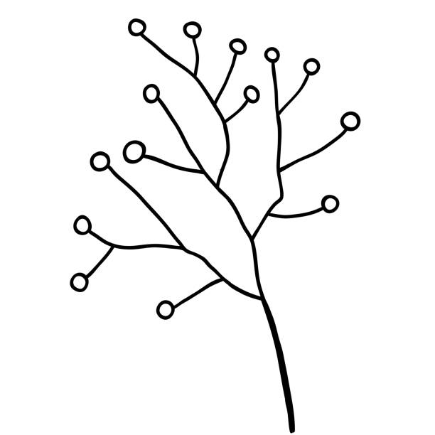 Hand drawn flower doodle element for photo book decoration Hand drawn flower doodle element for photo book decoration. Simple floral doodle icon black and white photo christmas cards stock illustrations