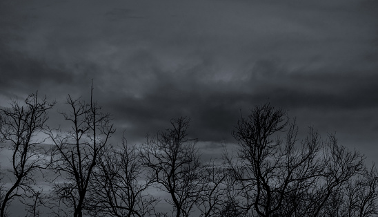 Silhouette dead tree on dark dramatic sky and gray clouds. Dark sky and dead tree background for Halloween day. Dead tree branches with stormy sky. Leafless tree. Background for sad and lonely moment.