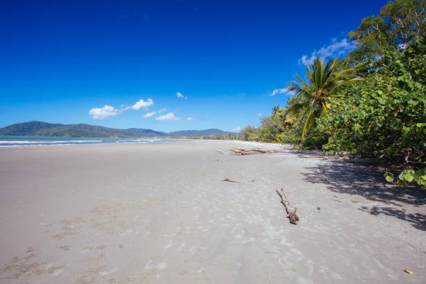 istock Thornton Beach in Queensland Australia 1284893000