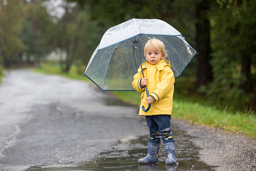 Cute blond toddler child, boy, playing in the rain with umbrella on a foggy autumn day on a rural road