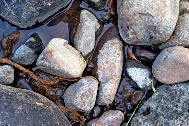 istock rock coral mountain on brown river water forming a tropical pattern 1284894499