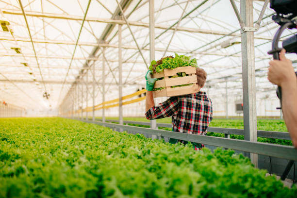 istock Man filming farmer while working in greenhouse 1284901602