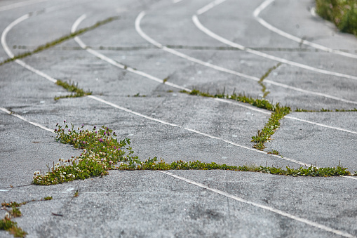 An old Park asphalt running track with markings and grass that grows through the cracks. Outdoor treadmill. Selective focus. The concept of decline, destruction, and poverty.