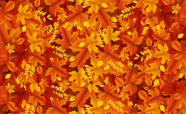 Vector illustration of autumn leaves bg