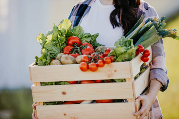 istock Woman carrying vegetable crate 1284907535