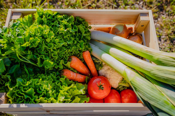 istock Crate of fresh organic vegetables 1284907879