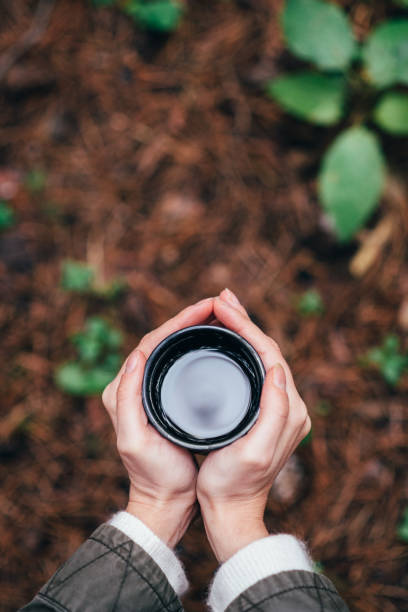 Holding a mug with hot drink Female hands holding a mug with hot drink over forest floor background pine needle tea stock pictures, royalty-free photos & images